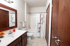 Vue_Apartment_Model-2br_Master-Bathroom-P1011847