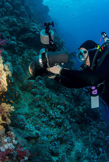 Margo-RedSea_HomePage